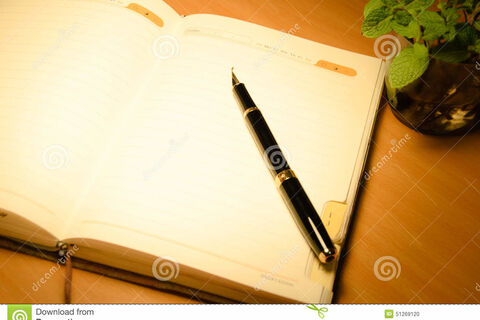 A POET CAN EXPLAIN EVERYTHING