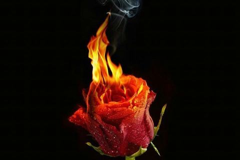 Pyrophilia