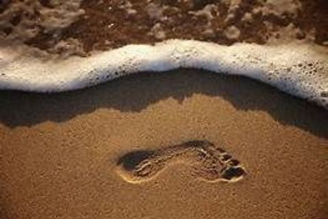 Footprint