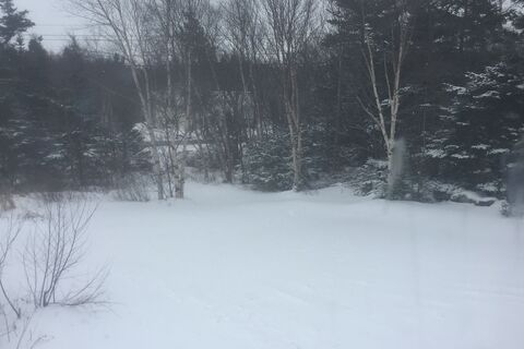The snowplow driver