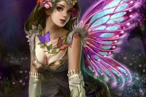 The Butterfly Princesses