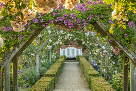 When the flowers bloom 