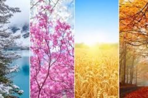 THE FOUR SEASONS