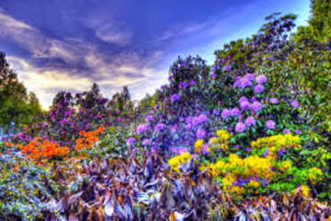 I long for spring