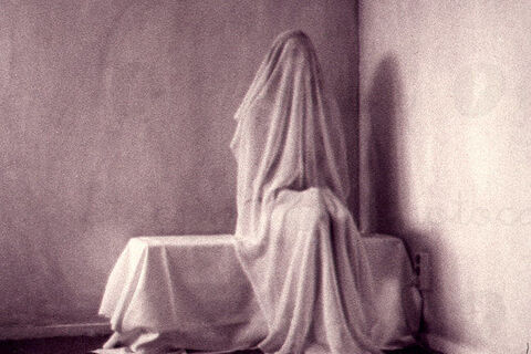 Haunting Beauty