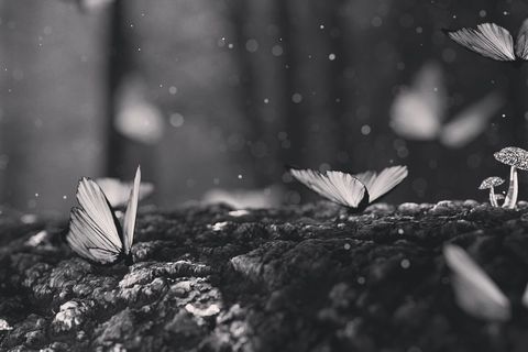 Story Waiting to Unfold 