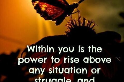 The will