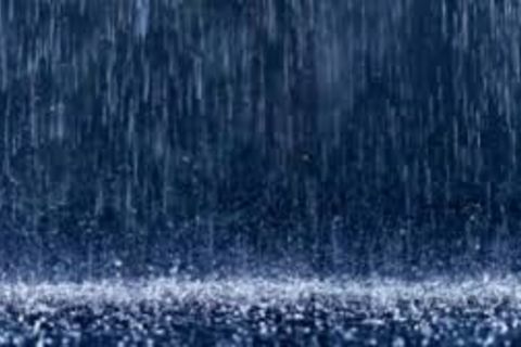 Whit wet Vetted Splendour...