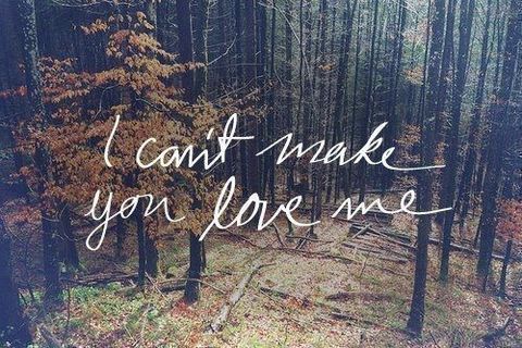 I can’t make you love me 