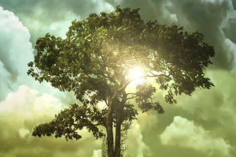 Turn Your Lows To Highs