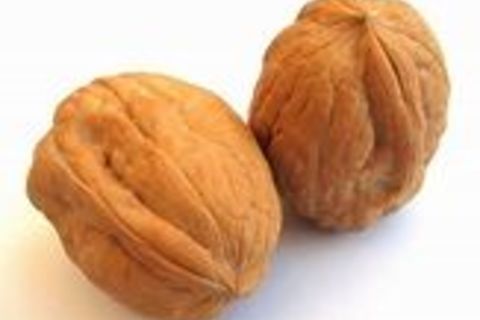 Whispers of A Walnut