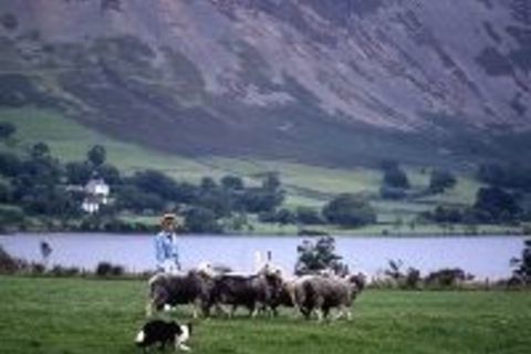 The Country Girl