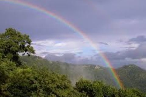 That day called hope