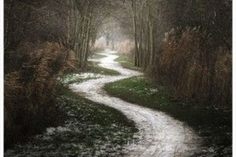 The Pathway
