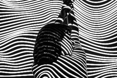 The Facilitator 