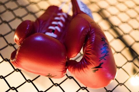 Boxer