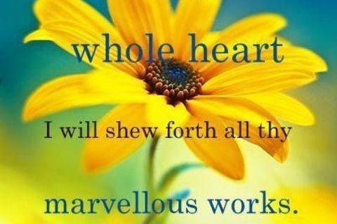 &quot;This Whole Heart!&quot;