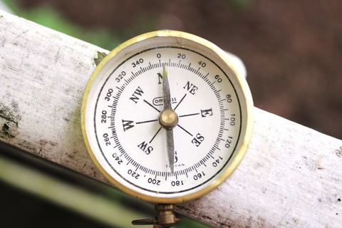 The compass of life 