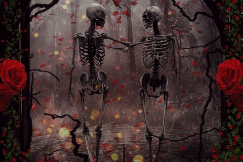 In Search Of The Everlasting