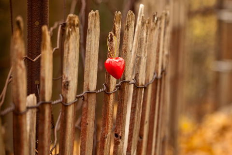 Lover&#039;s Lament