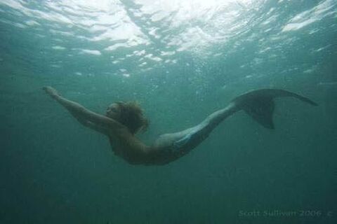 Pretty mermaid