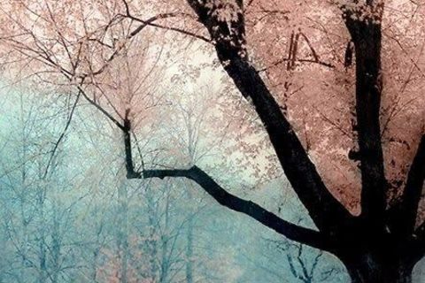 The whisper of love - it can be heard.