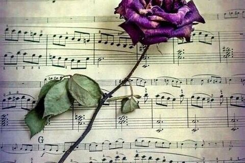  Beautiful 