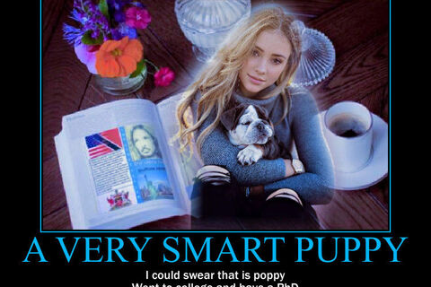 A very smart puppy
