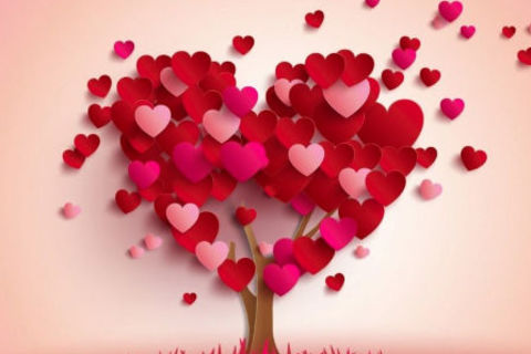 My Poetry