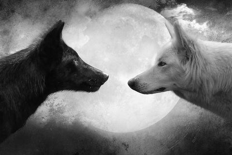 &quot;Duality&quot; by Ben Goode (c) 2017