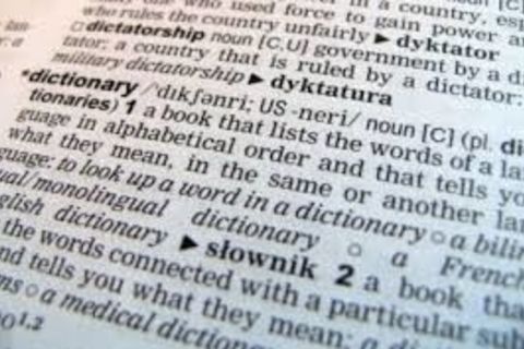 The Dictionary Equals Logophile&#039;s Paradise