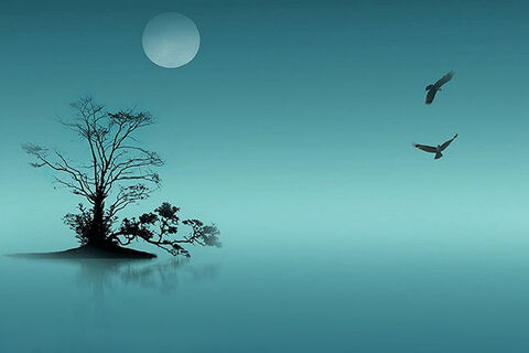Silent Beauty
