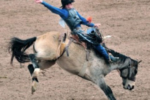 Happy Jack&#039;s Corral