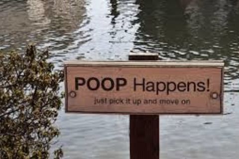 Unavoidable To Deny Praising Urination And Defecation