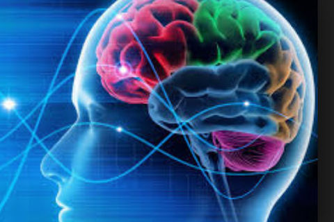 Cerebral Exultation