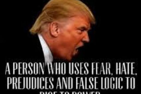 Damn Divisive Demagogic Derelict