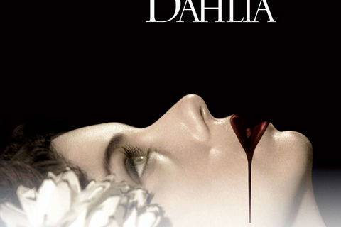 Black Dahlia