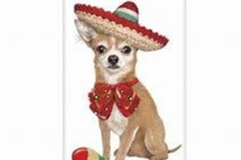 Papacito