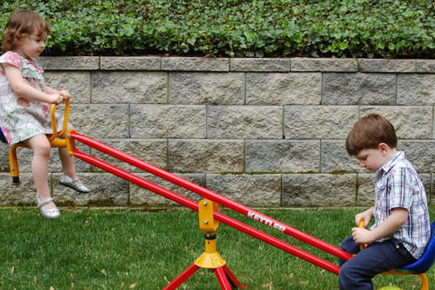 See - Saw