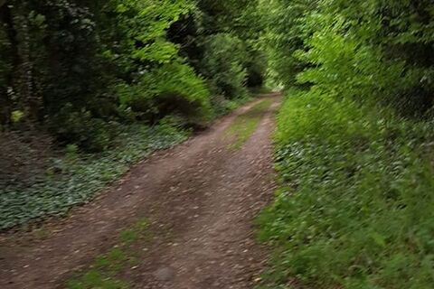 The Trackway