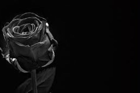 The Beauty of Death
