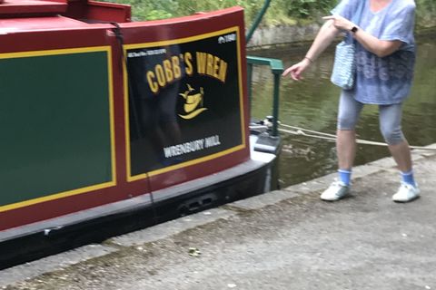 The Cobb’s Wren