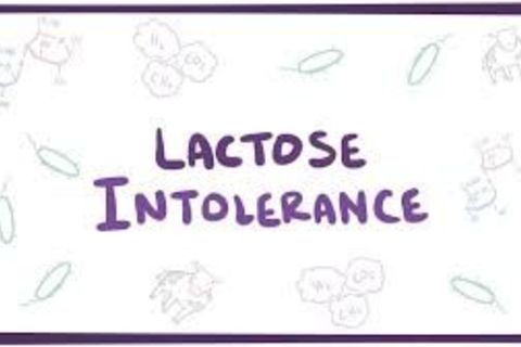 Beleaguered by lactose intolerance