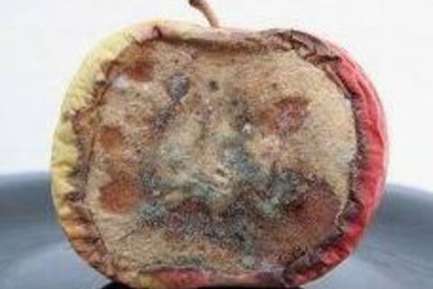 What Is Left?