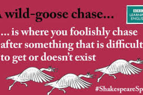 Wild goose chase