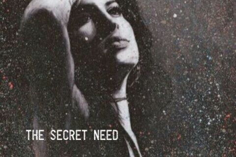 THE SECRET NEED