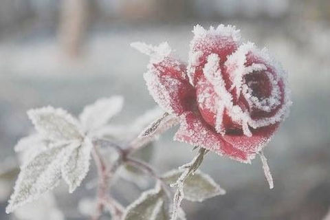 Oh, how I miss your smile,