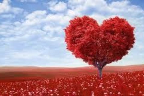 Fall in love