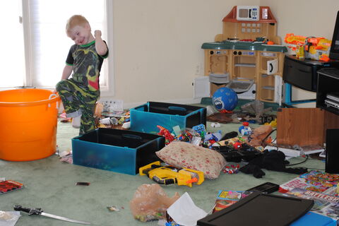 Clutter Bug