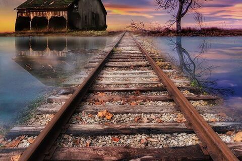  Without words 
